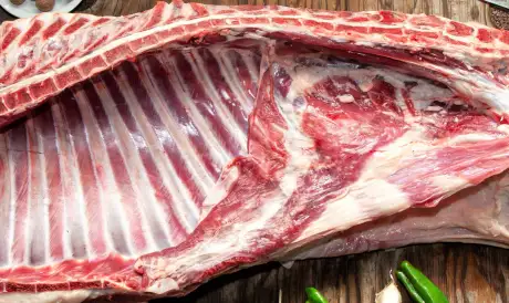 Half a Lamb
